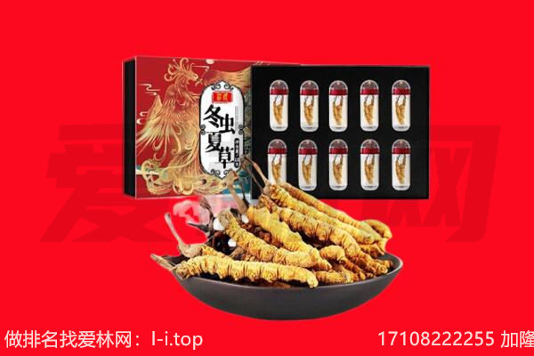 兰考县回收虫草.jpg